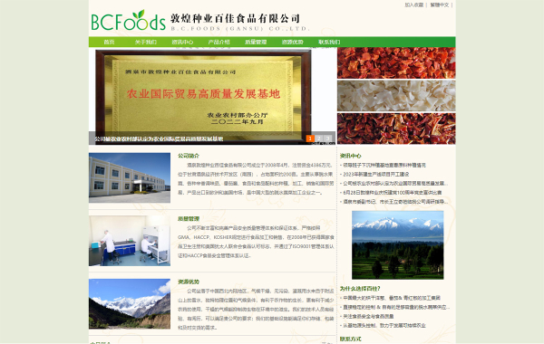 酒泉敦煌种业百佳食品有限公司