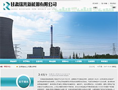 甘肃瑞光新能源有限公司
