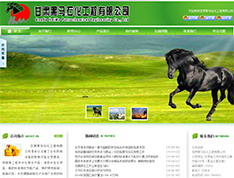 甘肃黑马石化工程有限公司