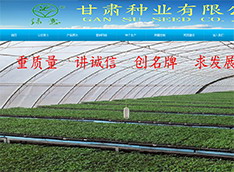 甘肃种业有限公司