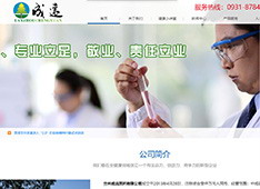 兰州​成远医药有限公司