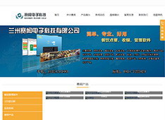 兰州​赛闻电子科技有限公司