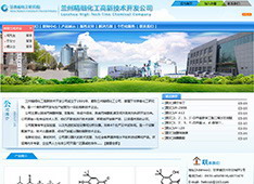 兰州​精细化工高新技术开发公司