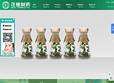 甘肃​泛植制药有限公司