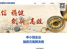 甘肃省融资担保集团股份有限公司