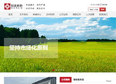 甘肃​省农业信贷担保有限责任公司
