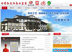 甘肃​红太阳面业集团