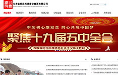 甘肃省铁路投资建设集团有限公司