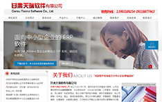 甘肃天瑞软件​有限公司