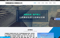 甘肃嘉德利​化工有限责任公司