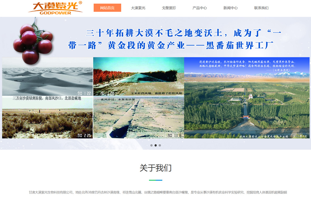 甘肃大漠紫光生物科技有限公司
