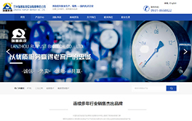 兰州瑞普科技实业有限责任公司