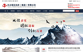 天水锻压机床​（集团）有限公司