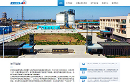 庆阳瑞华​能源有限公司