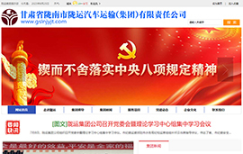 陇南市陇运​汽车运输（集团）有限责任公司
