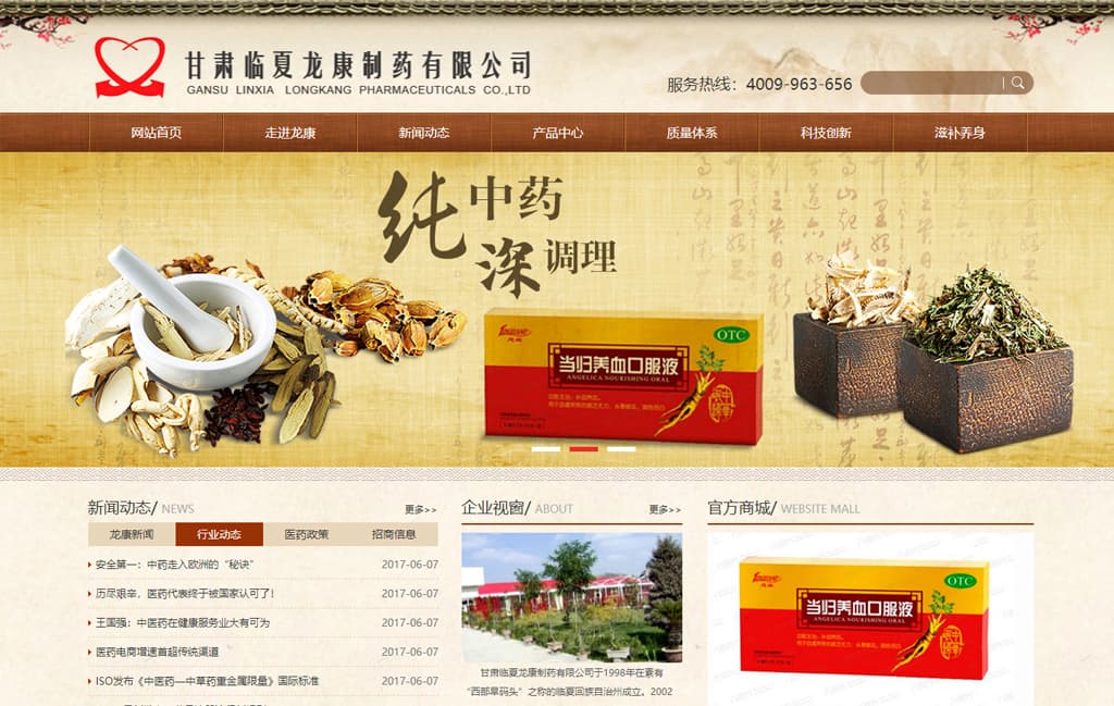 甘肃临夏龙康制药有限公司
